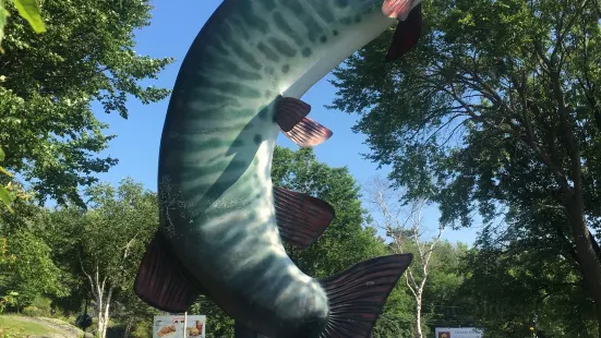 Husky the Muskie