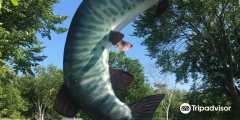 Husky the Muskie