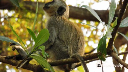 Lilongwe Nature Sanctuary