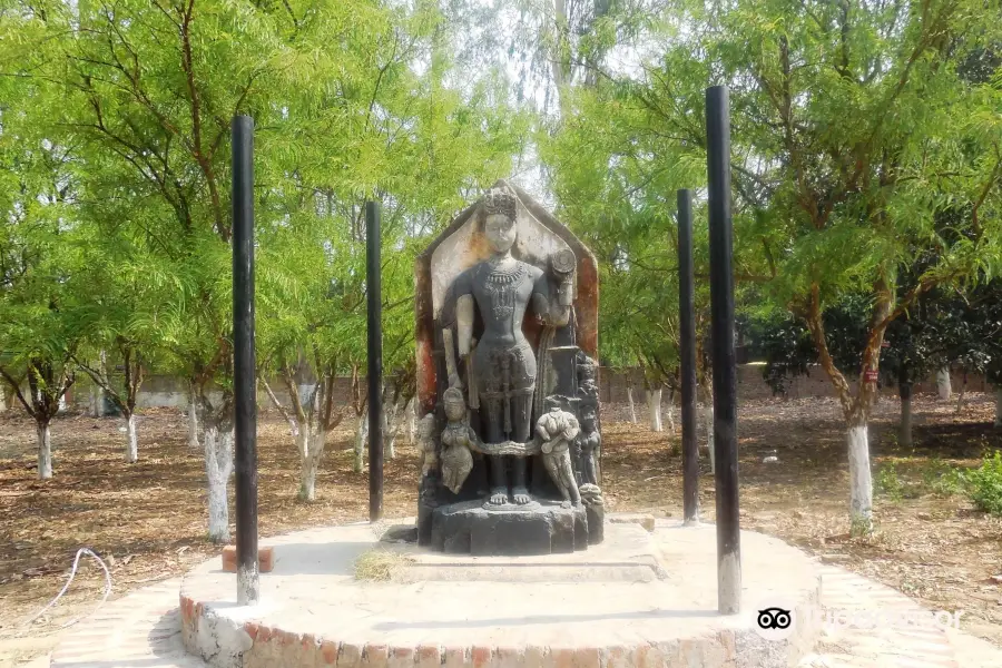 Vindhyavasini Park