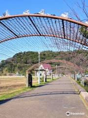 Kanegasaki Green Field