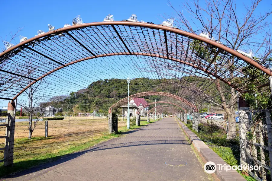 Kanegasaki Green Field