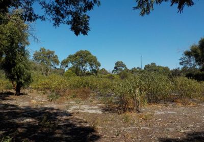 Donald Macdonald Reserve