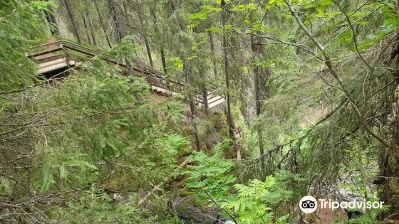 Korkeakoski