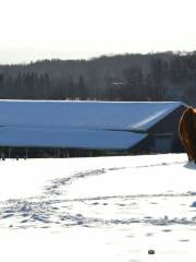 Rocking Horse Ranch