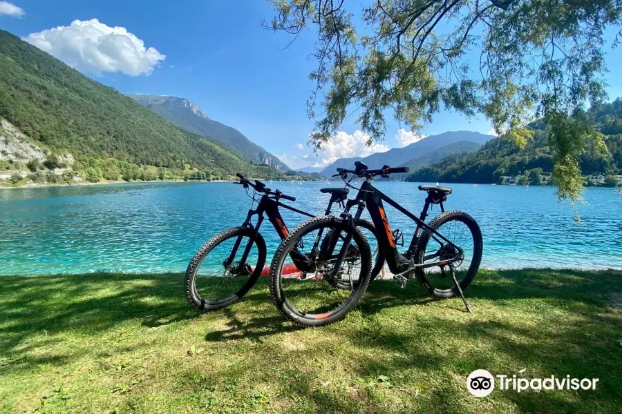 Happy Bike