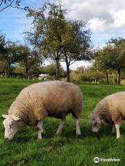 Ferme pédagogique au Lieu-Roussel & produits cidricoles