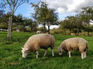 Ferme Pédagogique du Lieu Roussel