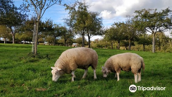 Ferme Pédagogique du Lieu Roussel