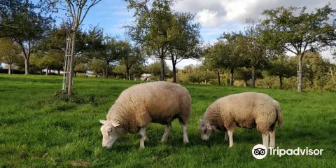 Ferme Pédagogique du Lieu Roussel