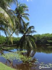 Parque Botánico Reina Isabel II