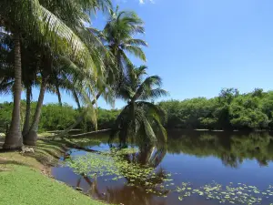 Queen Elizabeth II Botanic Park