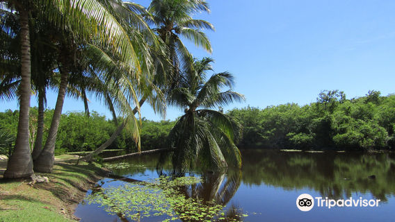 Queen Elizabeth II Botanic Park