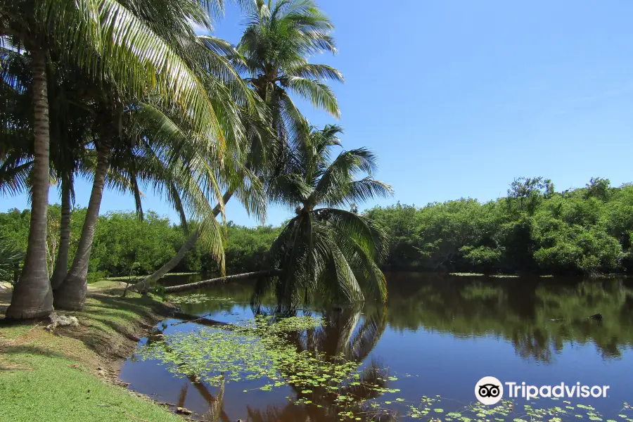 Queen Elizabeth II Botanic Park