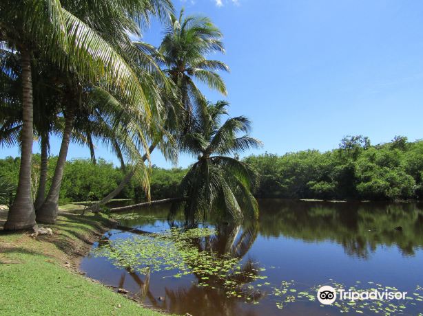 Queen Elizabeth II Botanic Park