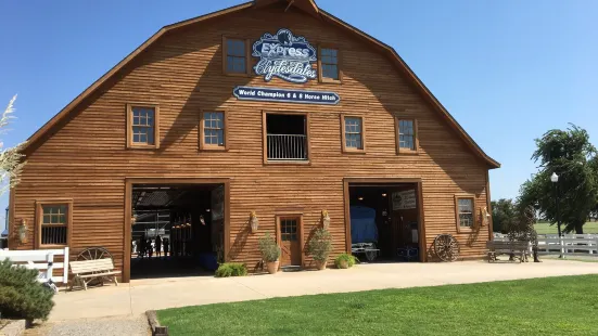 Express Clydesdales Barn