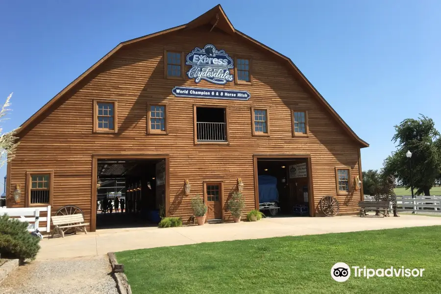 Express Clydesdales Barn