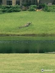 Bent Creek Golf Course