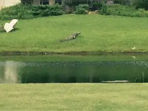 Bent Creek Golf Course