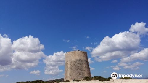 Torre De Ses Portes