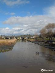 Loma Alta Creek