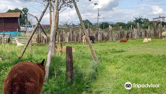 Earth Dream Kakuyama Farm - Tonden Farm