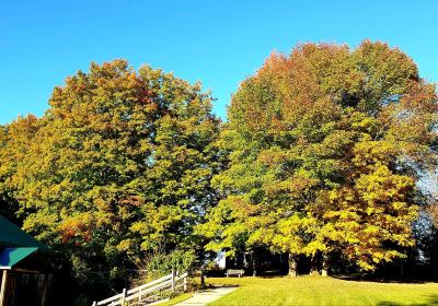 Proctor Park Conservation Area