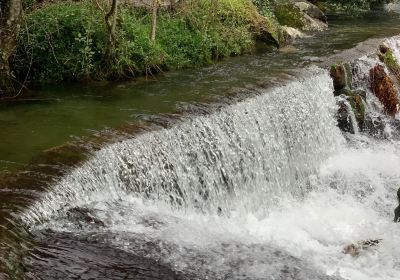 Cinfães