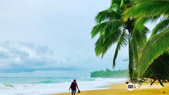 Playa Bluff