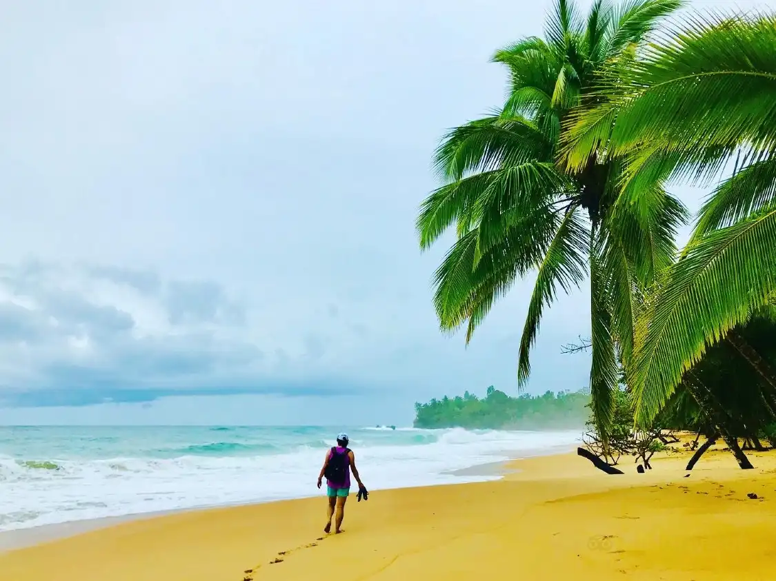 Hotels near Playa Bluff