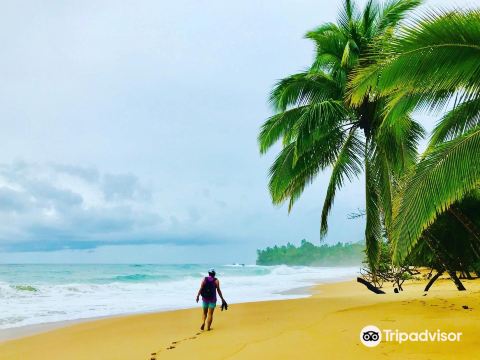 Playa Bluff