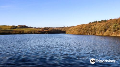 Linacre Reservoirs