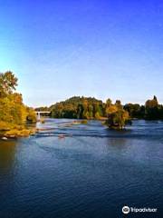 Willamette River bike trail