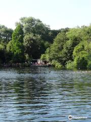 Highgate Men's Bathing Pond