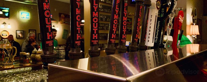 Plymouth Brewing Company