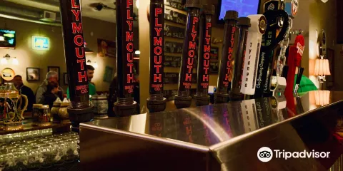 Plymouth Brewing Company