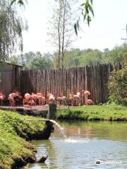 Зоопарк Элмвейл Джунгл