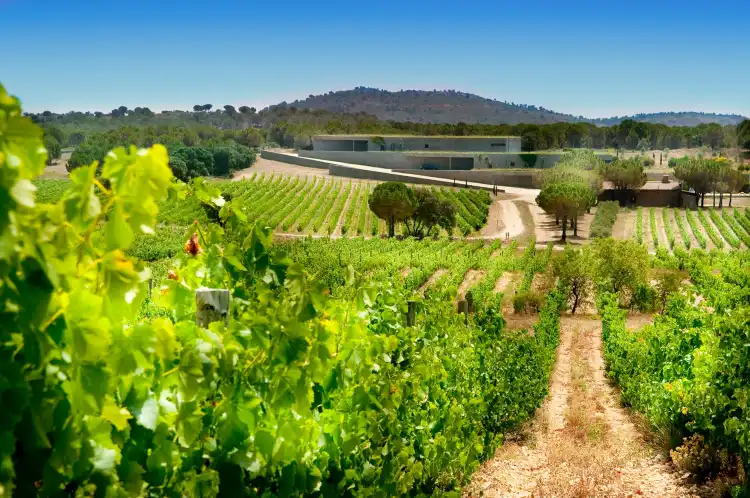 桑特克利門特塞斯塞韋斯住宿飯店