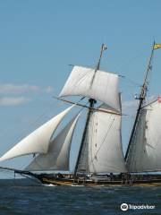 Chesapeake Bay Sailing Adventures