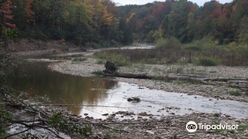 Bighead River Conservation Area