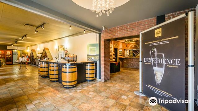 Vignoble Le Cep d'Argent