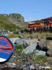 City Sightseeing - Oban