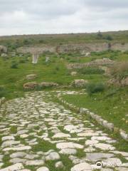 Herdonia Archaeological Excavations