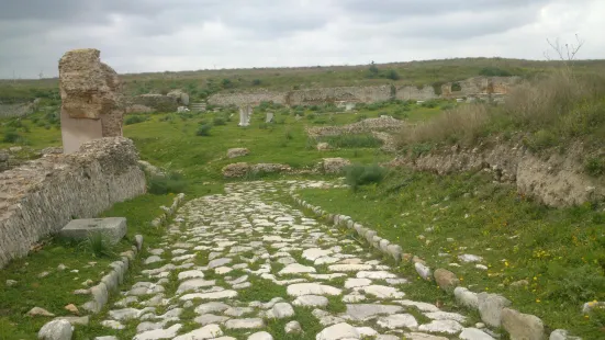 Herdonia Archaeological Excavations