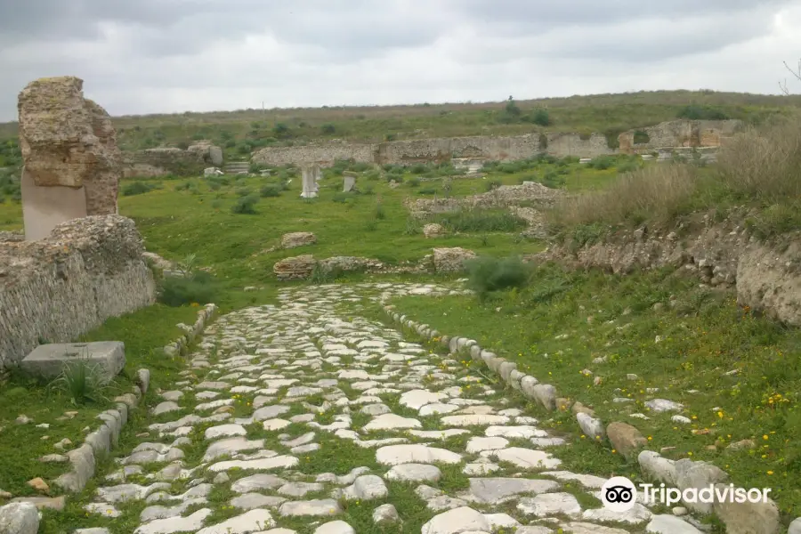 Herdonia Archaeological Excavations