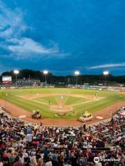 Tri-City ValleyCats