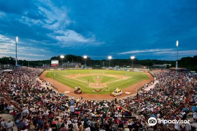 Tri-City ValleyCats