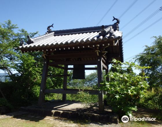 橋本市 自由行套票