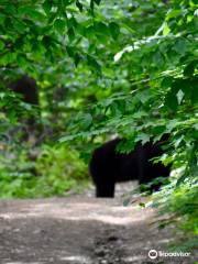 High Ledges Wildlife Sanctuary