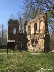 Vikštejn u Radkova Ruin
